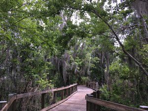 Oakland Nature Preserve I | Photo