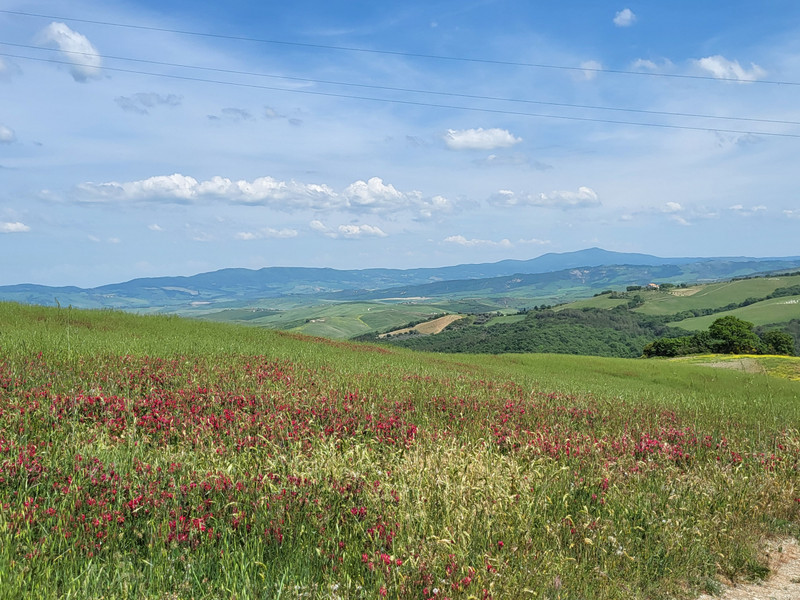 Val d'Orcia IV