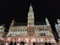 Grand-Place at night I