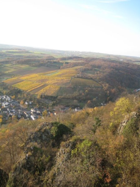 View from the Landskrone