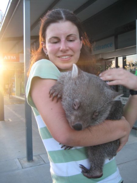 Katha & Wombat