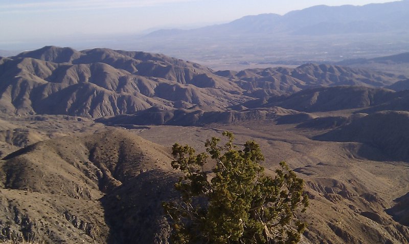 Joshua Tree National Park VII