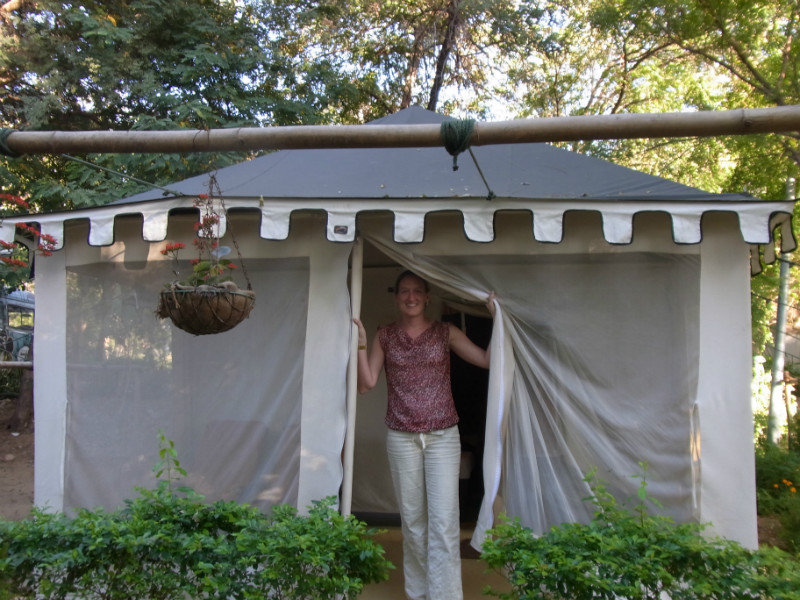Our tent in Ranthambore NP