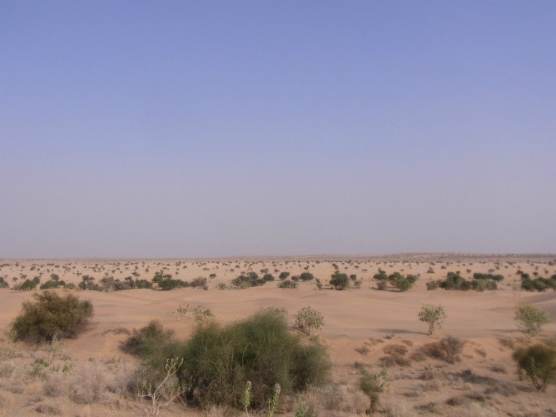 In the Thar Desert II