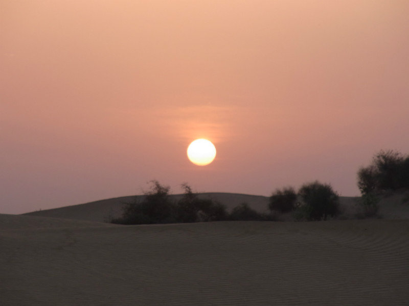 In the Thar Desert IV