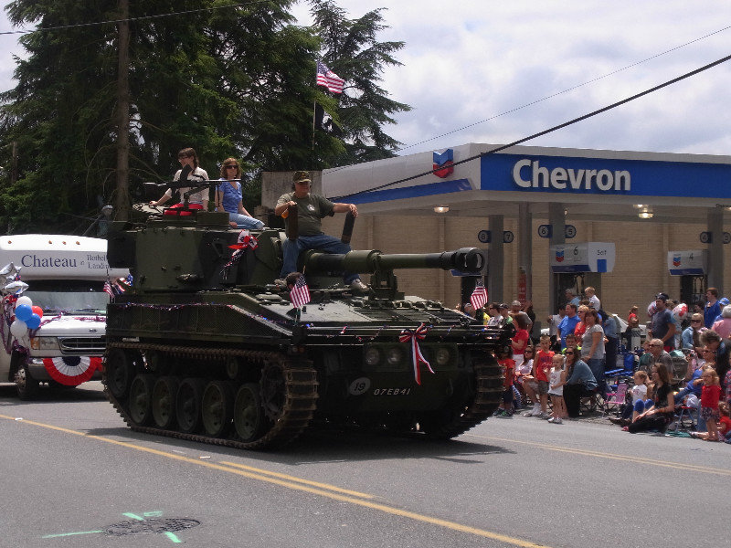 Independence Day Parade I