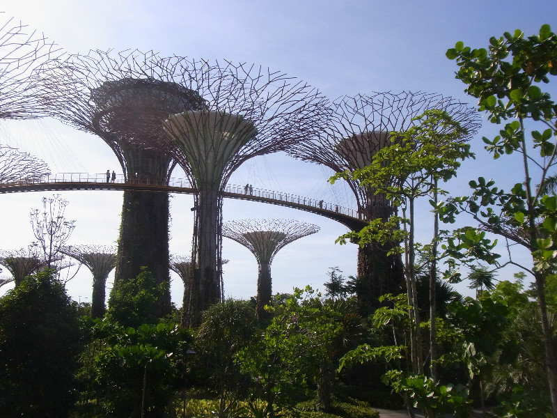 Gardens by the Bay I