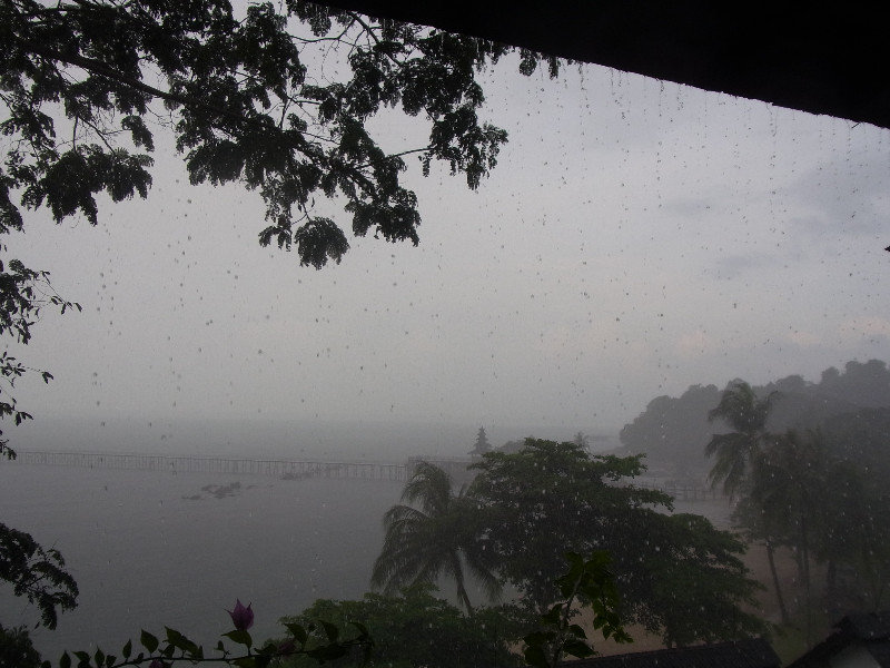 Tropical rain