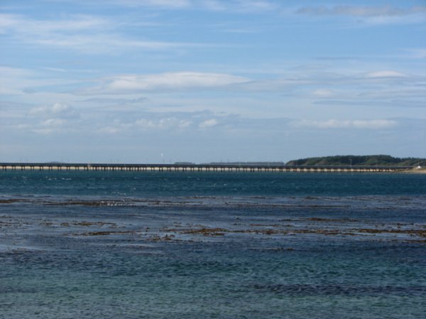 Long Bridge viewed from Bluff