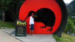 At Kiwi World