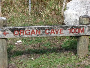 Organ Cave
