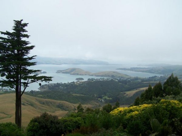 Peninsula de Otago