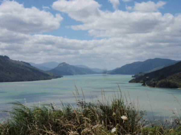 Drive to Picton