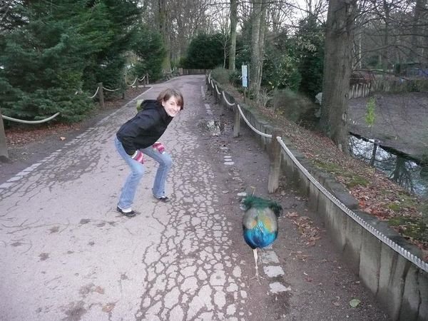 me and a peacock