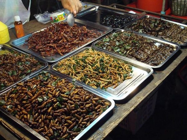 bug selection at the night market