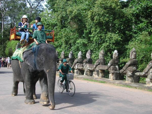 Une promenade a dos d'elephant