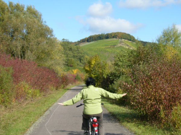 Cycling along the Mosel River