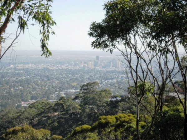 Adelaide from Mt Lofty