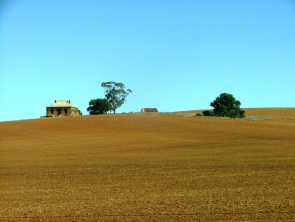 Typical landscape east of the Clare Valley