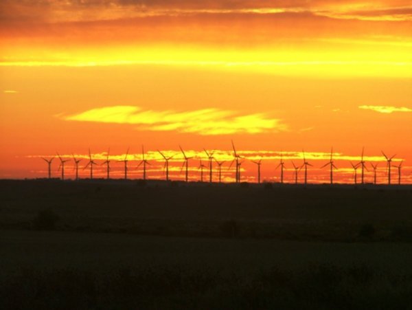 Sunset over the windfarm at Troubridge Point, Yorke Peninsula 