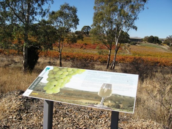 the Reisling bike trail, Clare Valley 