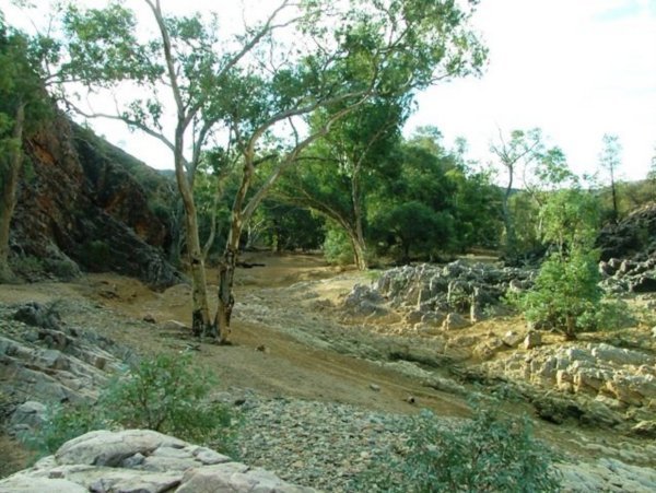 typical dry creek bed, Arkaroola  