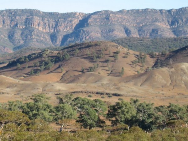 the Arkaba Hills 