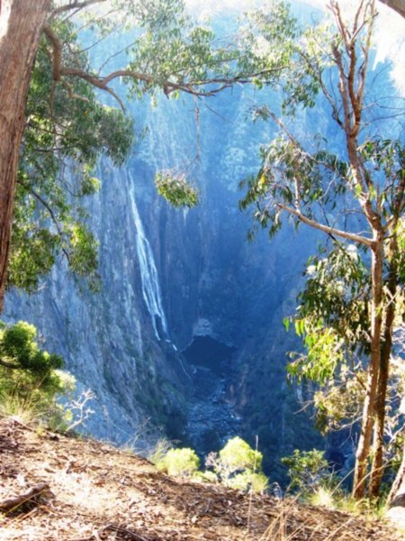 Wollombombi Falls 
