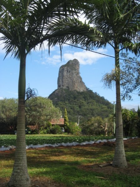 one of the Glasshouse mountains