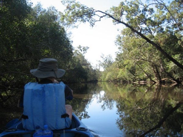 Canoeing on the creek nr Lake Cootharaba 