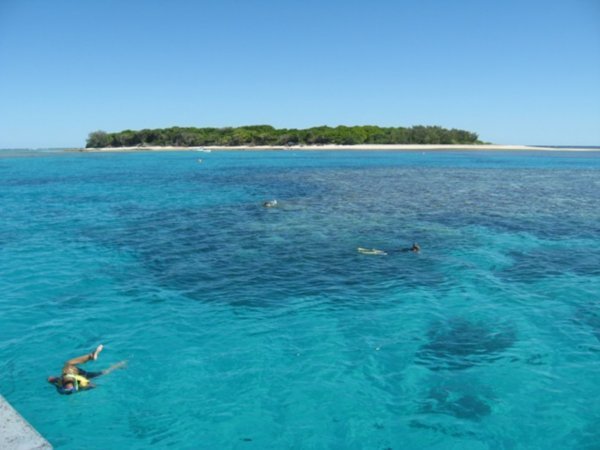 Lady Musgrave Island and coral lagoon 