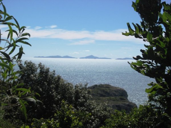 view from Cape Hillsborough National Park 