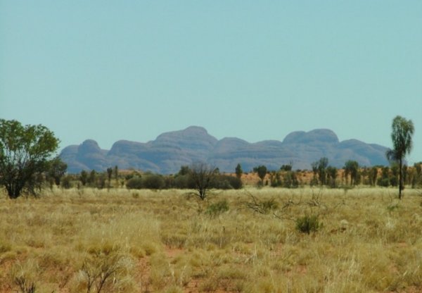 distant view of Kata Tjuta 