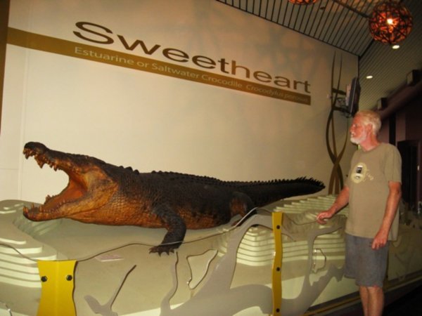 Sweetheart at Darwin Museum