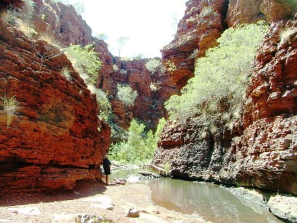 in the depths of Dales Gorge