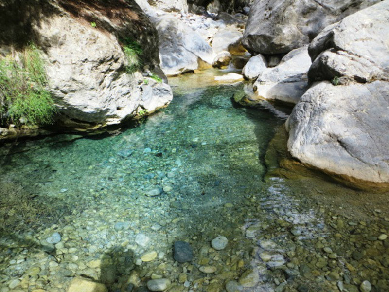 Beautiful stream water