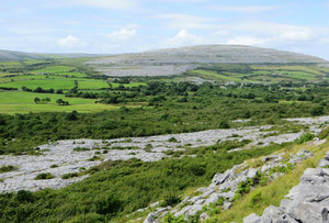 the Burren, Clare