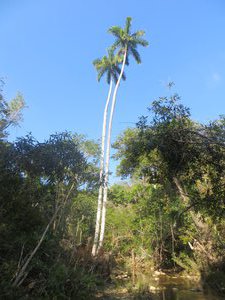 El Cubano National Park