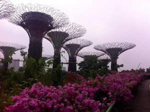 The Super Domes at Gardens by the Bay