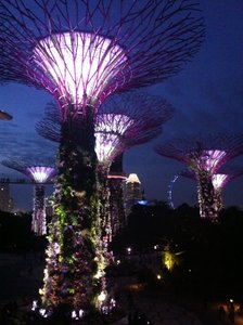 Dusk at Gardens by the Bay