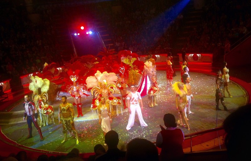 The Nikulin Circus 