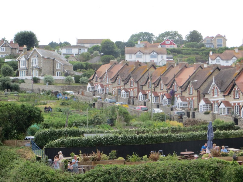 Great allotments at Beer, Devon