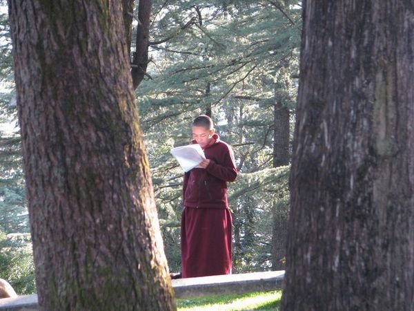 A tibetan Nun Reading