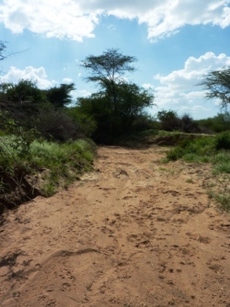 One of the dry rivers - there are a lot of them on the way north, and during the rainy seasons it can be difficult to pass, and one can be stuck between the rivers for days due to flooding.