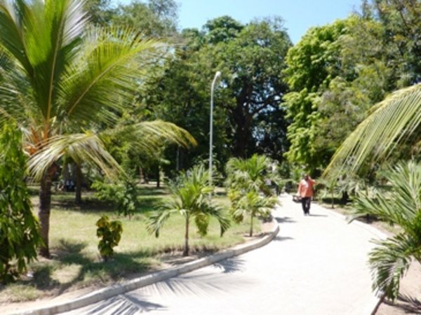 In the city park in the centre of Mombasa.