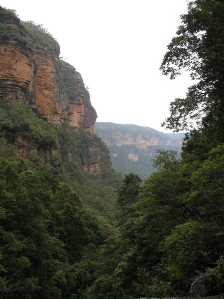 View from Wentworth Falls
