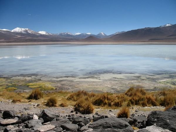 Laguna Blanca (2)