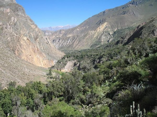 View along the canyon