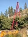 The Largest Orchard Ladder (in the world!)