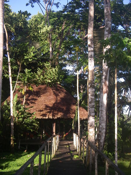 Our jungle lodge